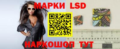 стаф Рязань