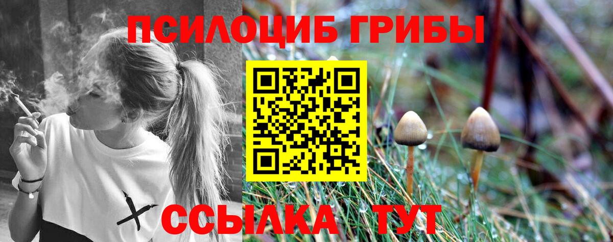 Нижнеудинск  Псилоцибиновые грибы прущие грибы  Вход с VPN 
